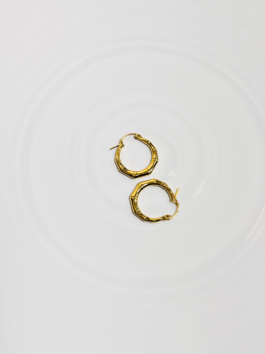 Sophia Earrings